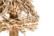 UNSHARDSCAPE UNS Bonsai 009 driftwood piece, natural and textured wood for bonsai or decorative arrangements.