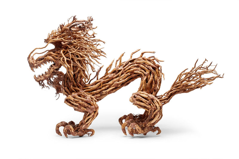 UNS Bonsai 010 Driftwood - Buce Plant