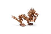 UNS Bonsai 010 Driftwood - Buce Plant