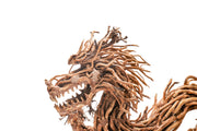 UNS Bonsai 010 Driftwood - Buce Plant