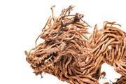 UNS Bonsai 010 Driftwood - Buce Plant