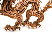 UNS Bonsai 010 Driftwood - Buce Plant