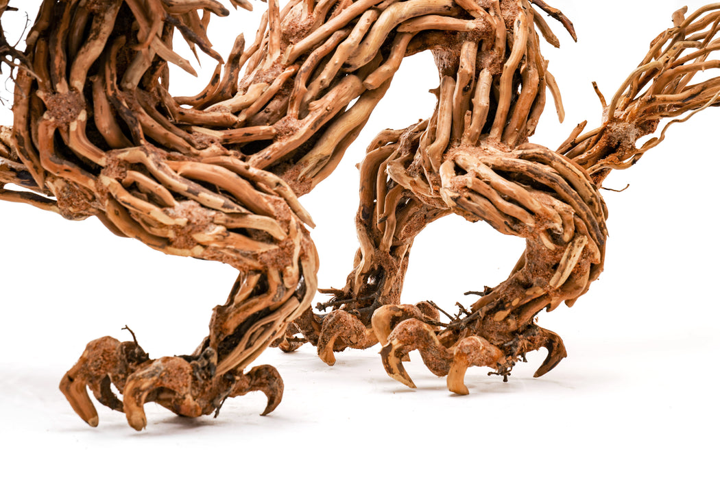 bonsai tree yakuza like a dragon UNS Bonsai 010 Intricate Dragon Shaped Aquarium Driftwood — Buce Plant