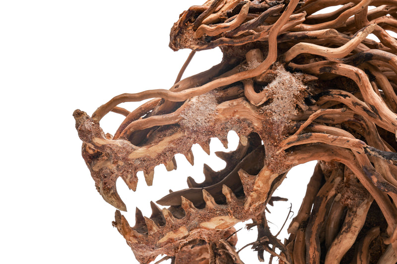 UNS Bonsai 010 Driftwood - Buce Plant