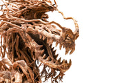 UNS Bonsai 010 Driftwood - Buce Plant