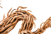UNS Bonsai 010 Driftwood - Buce Plant