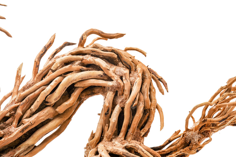 UNS Bonsai 010 Driftwood - Buce Plant