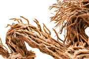 UNS Bonsai 010 Driftwood - Buce Plant