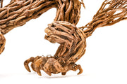 UNS Bonsai 010 Driftwood - Buce Plant
