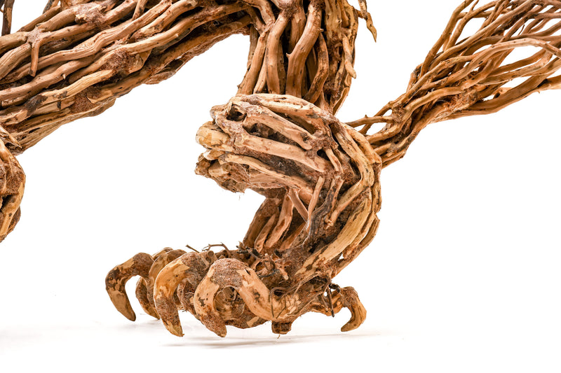UNS Bonsai 010 Driftwood - Buce Plant