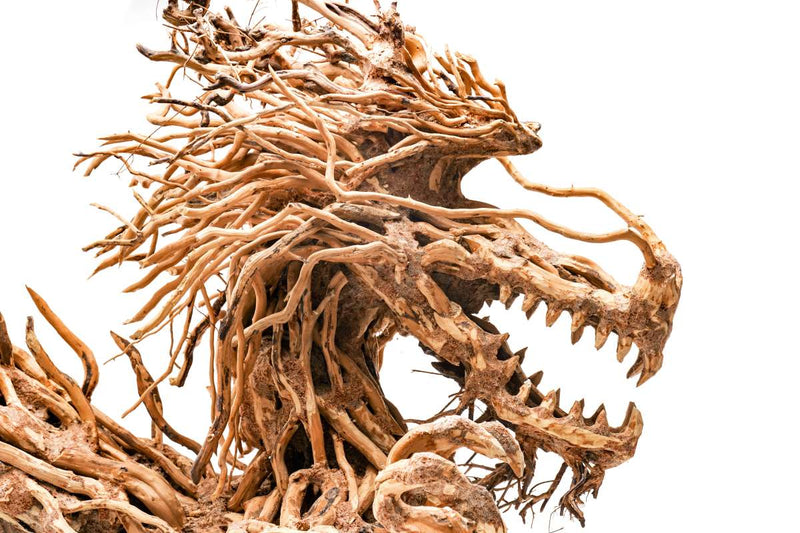 UNS Bonsai 010 Driftwood - Buce Plant