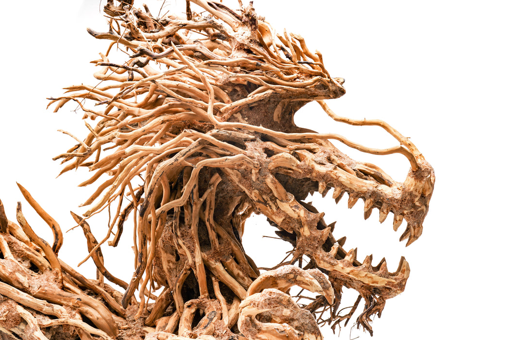 bonsai tree yakuza like a dragon UNS Bonsai 010 Intricate Dragon Shaped Aquarium Driftwood — Buce Plant