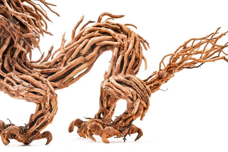 UNS Bonsai 010 Driftwood - Buce Plant