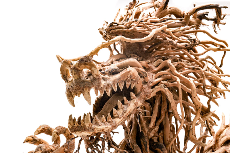 UNS Bonsai 010 Driftwood - Buce Plant