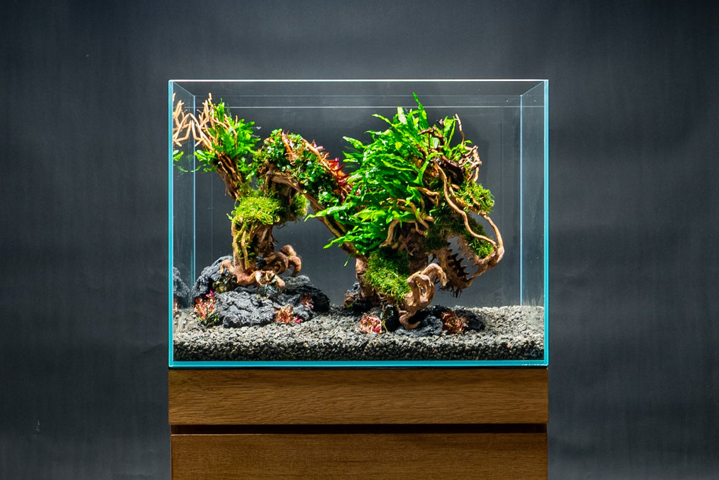bonsai tree yakuza like a dragon UNS Bonsai 010 Intricate Dragon Shaped Aquarium Driftwood — Buce Plant
