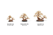 UNSHARDSCAPE UNS Bonsai 011 driftwood piece with intricate natural wood details for bonsai or decorative use.