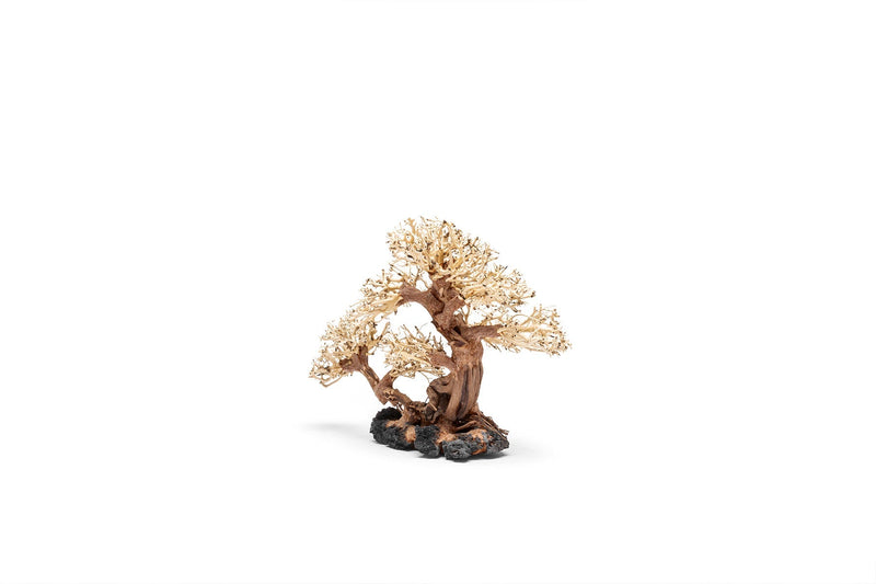 UNSHARDSCAPE UNS Bonsai 011 driftwood piece with natural textured wood and intricate grain details for bonsai decoration