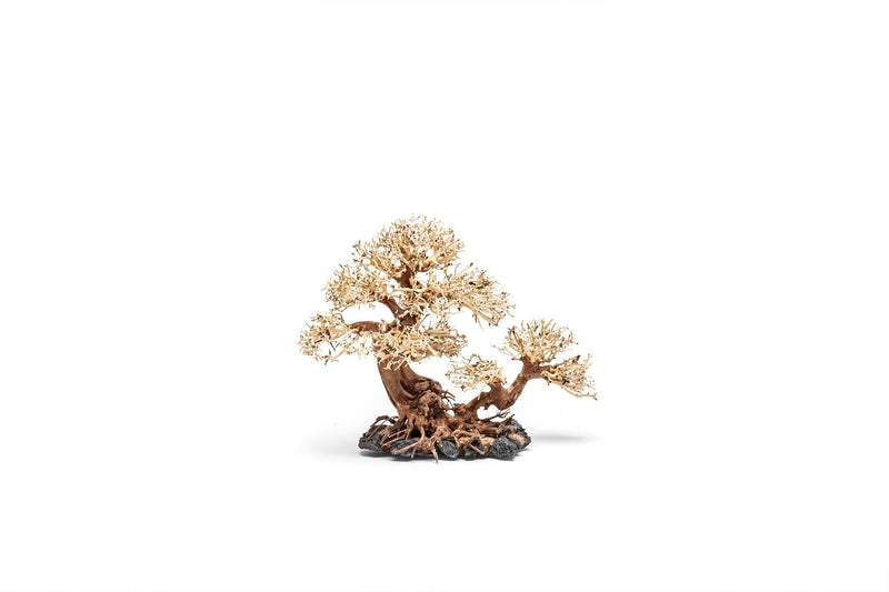 UNSHARDSCAPE UNS Bonsai 011 driftwood piece with natural, textured wood appearance suitable for bonsai or decorative use