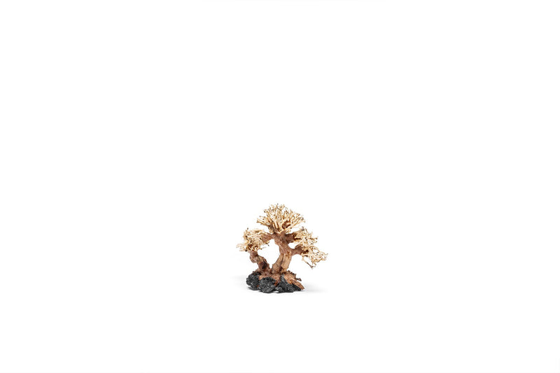 UNSHARDSCAPE UNS Bonsai 011 driftwood piece with intricate natural wood grain and unique shape for bonsai or decorative displays