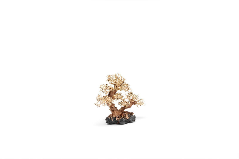 UNSHARDSCAPE UNS Bonsai 011 driftwood piece with intricate natural shape, ideal for bonsai or decorative displays.
