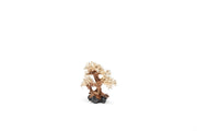 UNSHARDSCAPE UNS Bonsai 011 driftwood piece with intricate natural wood textures and organic shape for bonsai display or decor