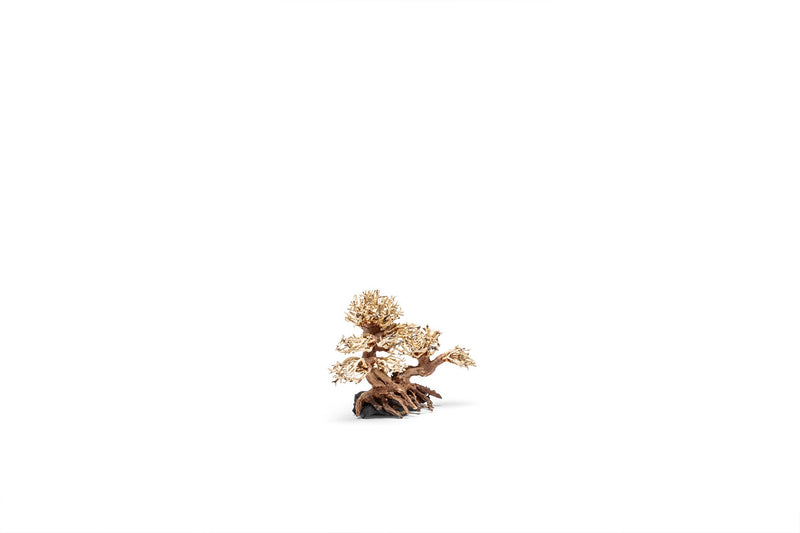 UNSHARDSCAPE UNS Bonsai 011 driftwood display with intricate natural wood shapes and textures on a plain background