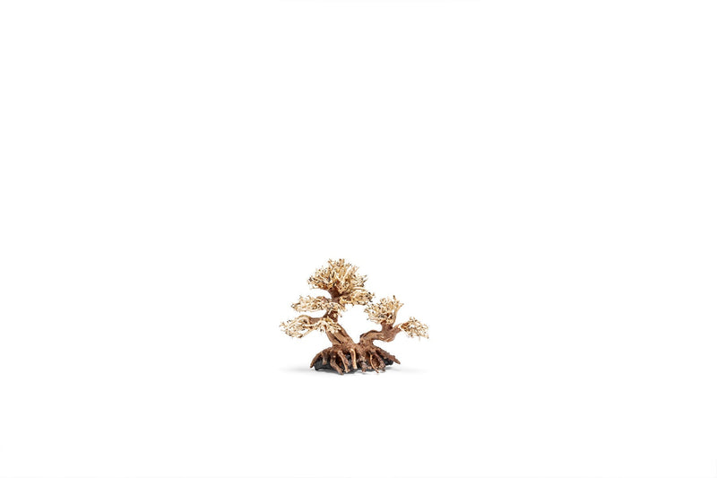 UNSHARDSCAPE UNS Bonsai 011 driftwood piece, natural wood sculpture for bonsai or decorative display.