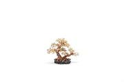 UNSHARDSCAPE UNS Bonsai 011 driftwood piece with intricate natural wood details for bonsai or decorative use