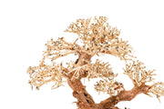 UNSHARDSCAPE UNS Bonsai 011 driftwood piece with intricate natural texture and organic shape for bonsai or decorative display