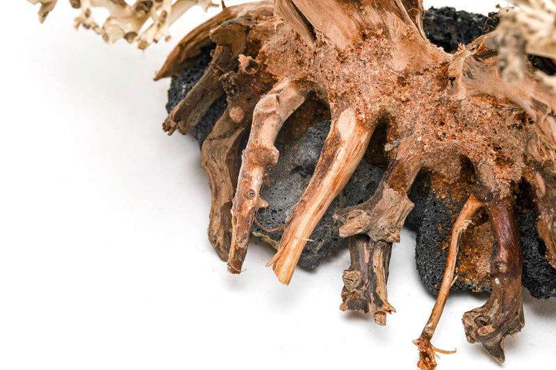 UNSHARDSCAPE UNS Bonsai 011 driftwood piece with intricate natural wood details for bonsai or decorative use.
