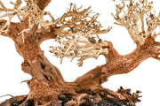 UNSHARDSCAPE UNS Bonsai 011 driftwood piece with natural, weathered textures, ideal for bonsai or miniature landscape displays