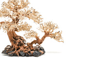 UNSHARDSCAPE UNS Bonsai 011 driftwood piece with intricate natural wood textures and organic shape, suitable for bonsai or decorative display.