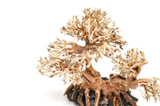 UNS Bonsai 011 driftwood by UNSHARDSCAPE showing a natural, textured piece of decorative wood for bonsai or plant displays