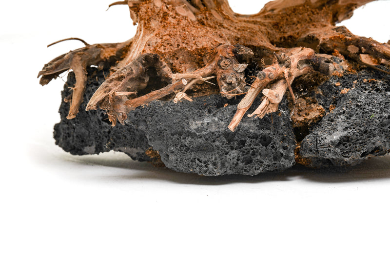 UNSHARDSCAPE UNS Bonsai 011 driftwood piece with intricate natural wood textures for bonsai or decorative displays.
