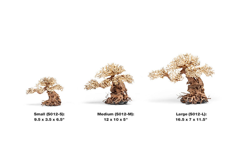 UNS Bonsai 012 Driftwood - Buce Plant