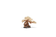 UNS Bonsai 012 Driftwood - Buce Plant