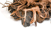 UNS Bonsai 012 Driftwood - Buce Plant