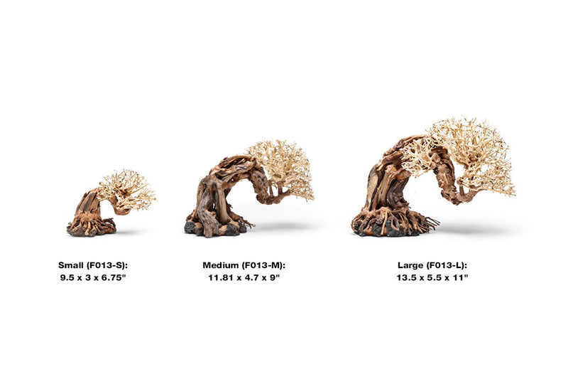 UNSHARDSCAPE UNS Bonsai 013 driftwood piece, natural wood sculpture with intricate grain and organic shape for bonsai or decor.
