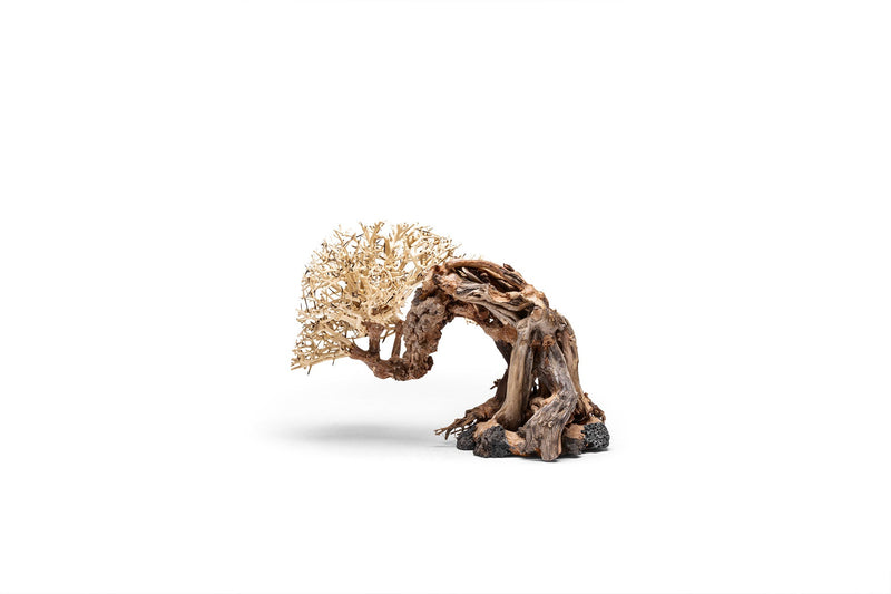 UNSHARDSCAPE UNS Bonsai 013 driftwood piece showing intricate, natural wood grain and unique shape for bonsai decoration.