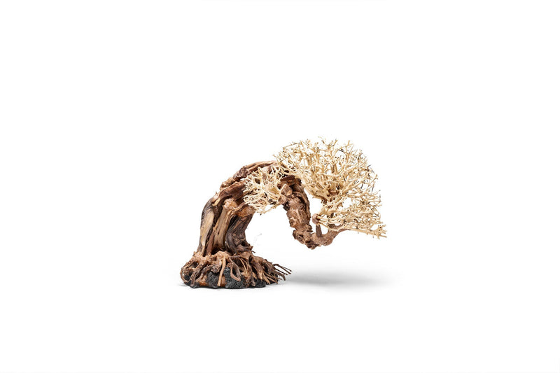 UNSHARDSCAPE UNS Bonsai 013 driftwood sculpture displayed on a flat surface with natural wood grain details.