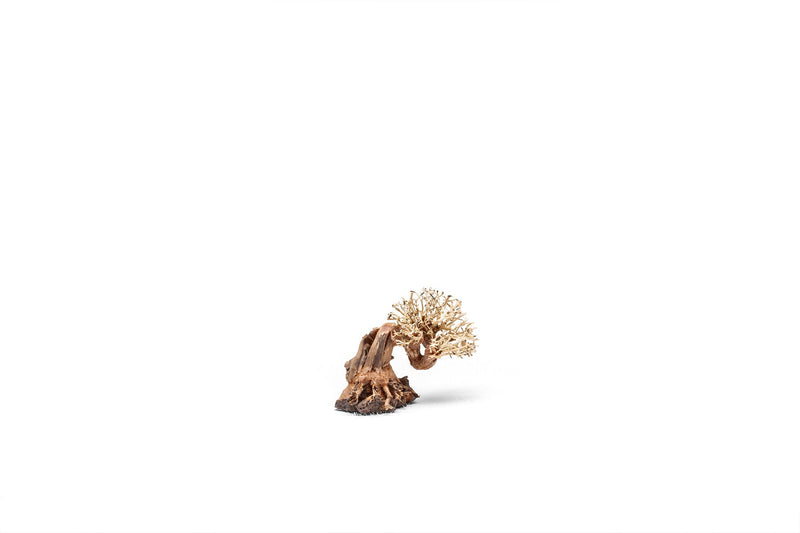 UNS Bonsai 013 driftwood piece from UNSHARDSCAPE, showcasing natural wood with intricate textures and organic shape.