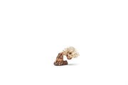 UNSHARDSCAPE UNS Bonsai 013 driftwood piece with twisted, natural wood shapes for bonsai or decorative displays.