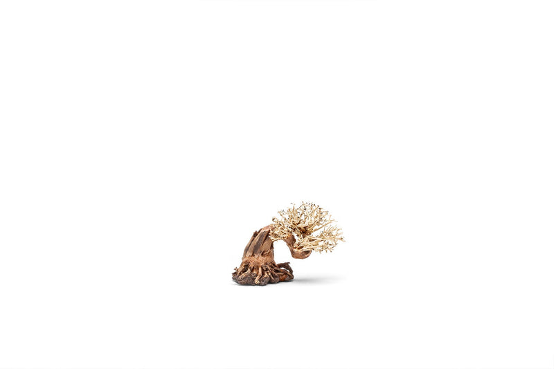 UNSHARDSCAPE UNS Bonsai 013 driftwood piece with twisted, natural wood shapes for bonsai or decorative displays.