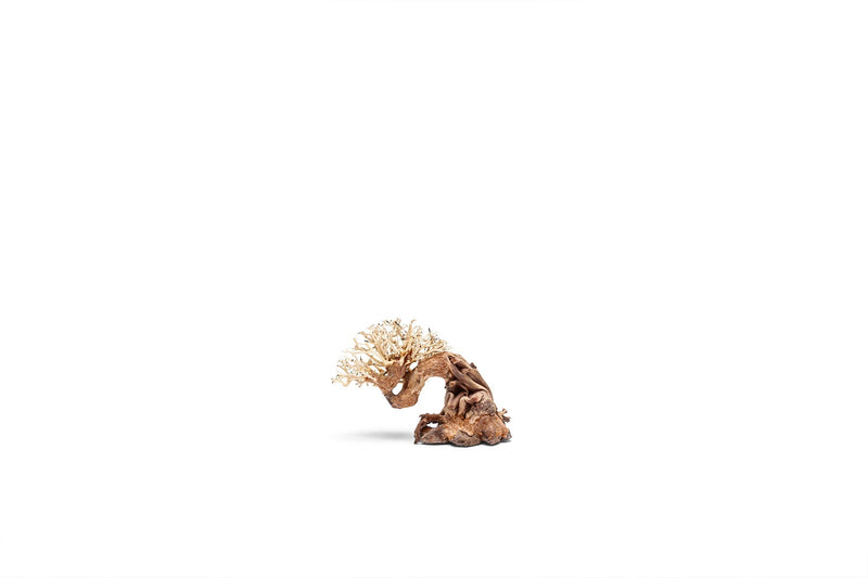 UNSHARDSCAPE UNS Bonsai 013 driftwood piece with intricate natural wood details, ideal for bonsai or decorative displays.