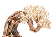 UNSHARDSCAPE UNS Bonsai 013 driftwood piece, natural wooden sculpture with intricate grain and organic shape, ideal for bonsai displays