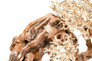 UNSHARDSCAPE UNS Bonsai 013 driftwood piece with intricate natural wood details for bonsai or decorative display