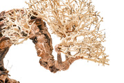 UNSHARDSCAPE UNS Bonsai 013 driftwood piece, natural wooden sculpture with intricate grain and organic shape for bonsai or decor.