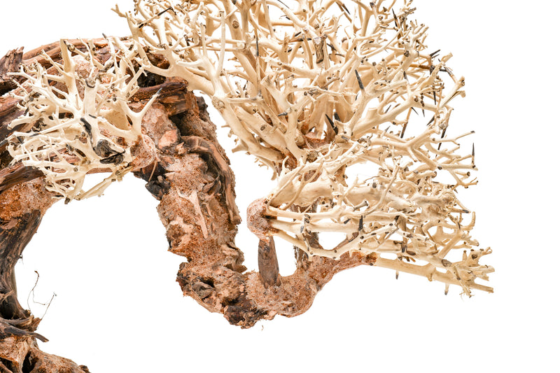 UNSHARDSCAPE UNS Bonsai 013 driftwood piece, natural wooden sculpture with intricate grain and organic shape for bonsai or decor.