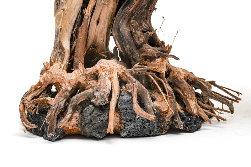 UNSHARDSCAPE UNS Bonsai 013 driftwood piece, natural wood sculpture with intricate textures and organic shape for bonsai decoration