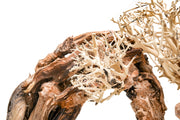 UNSHARDSCAPE UNS Bonsai 013 driftwood piece with natural, textured wood and intricate shape, ideal for bonsai or decorative displays